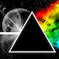 avatar_Max Grey